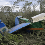 Aviao agricola cai em area de mata e piloto morre em Minas