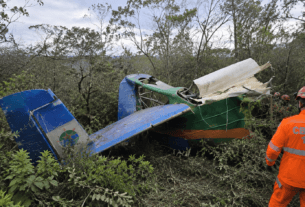 Aviao agricola cai em area de mata e piloto morre em Minas