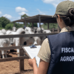 Concurso Bom Despacho MG