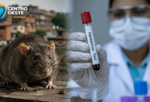 Hantavirus no Brasil